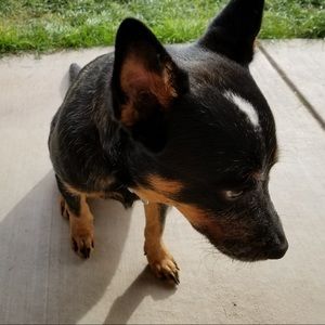 Meet your Posher, Delaney